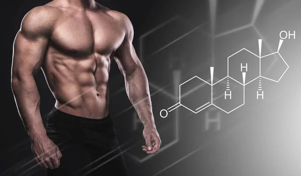 Testosterone - The King Of Hormones?